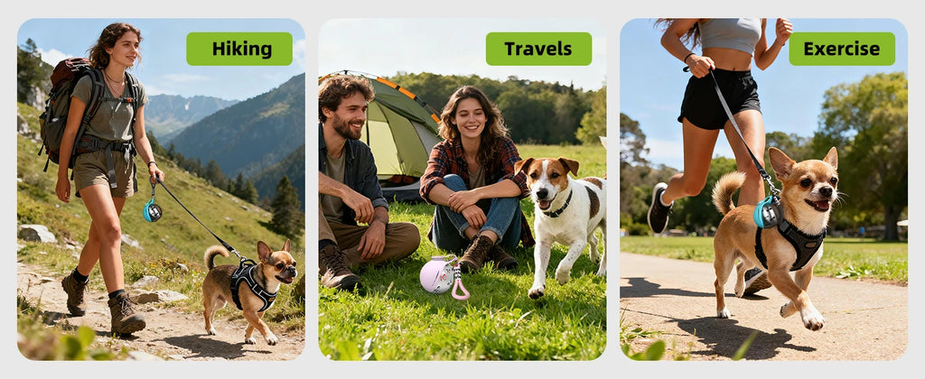 2-in-1 Portable Dog Water Bottle — Leak-Proof Stainless Steel Travel Bottle for Dogs
