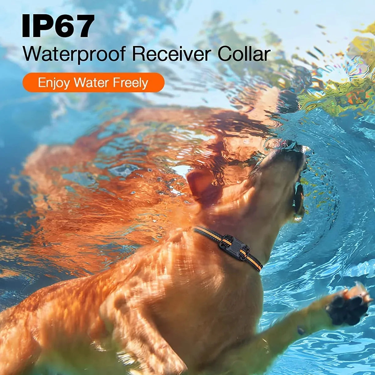 Remote Dog Training Collar — 1000M Range, Waterproof, Shock & Vibration for 2 Dogs
