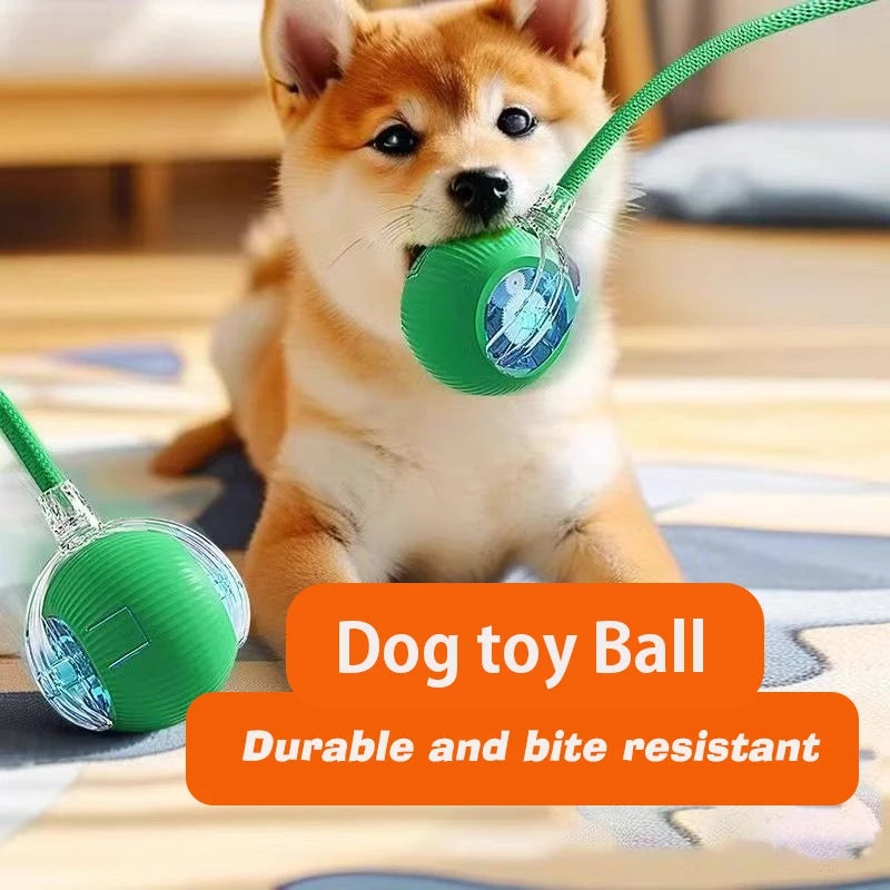 Smart Rolling Dog Ball Toy — Automatic, Rechargeable & Interactive