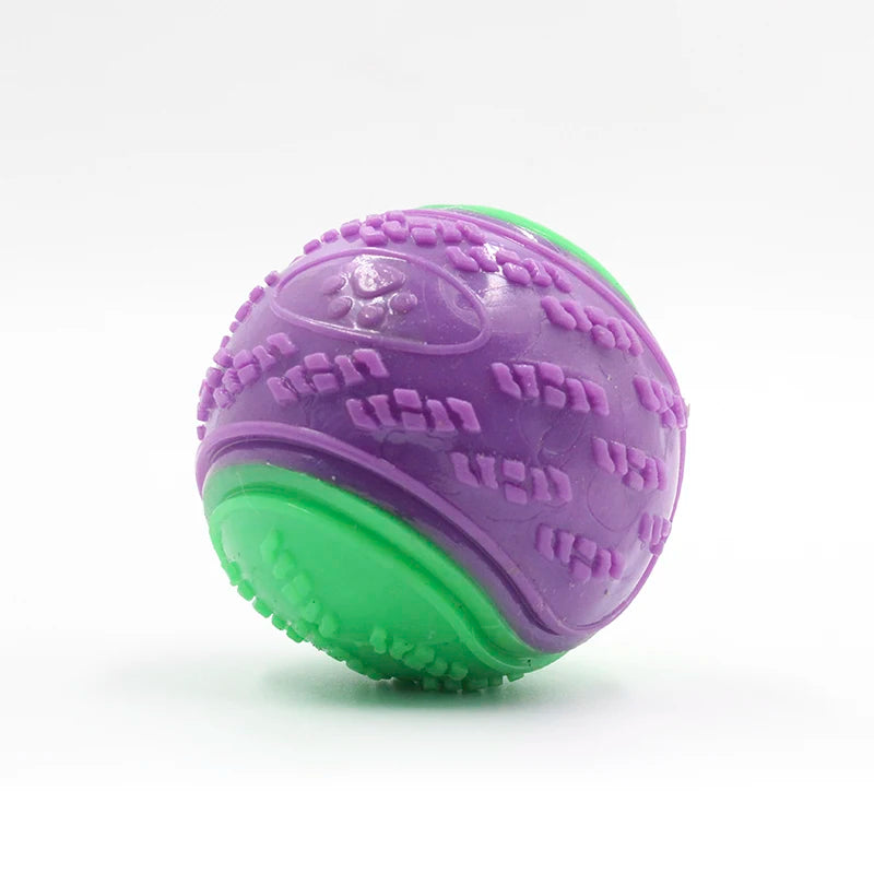 Squeaky Dog Ball Toy — Soft TPR Interactive Toy for Teeth Cleaning & Play