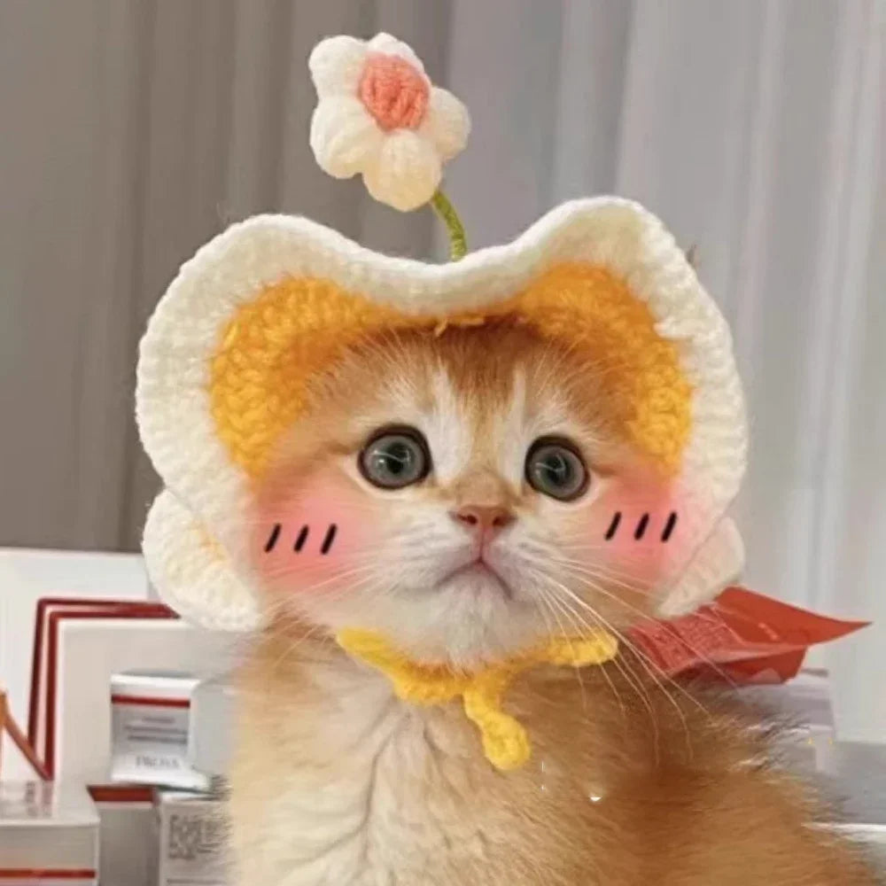 Cute Knitted Pet Hat — Cosy Autumn & Winter Hat for Cats & Small Dogs