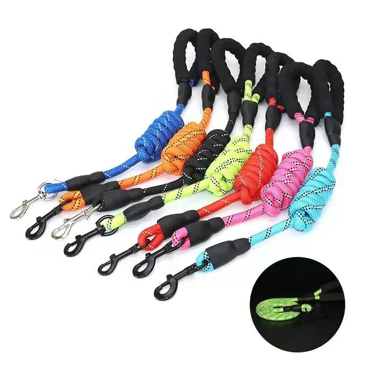 Reflective Dog Leash — Strong Nylon Lead for Small, Medium & Large Dogs