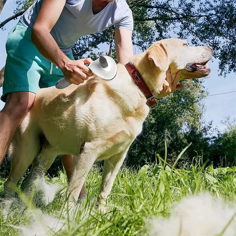 Self-Cleaning Pet Slicker Brush — Dematting Comb for Dogs & Cats