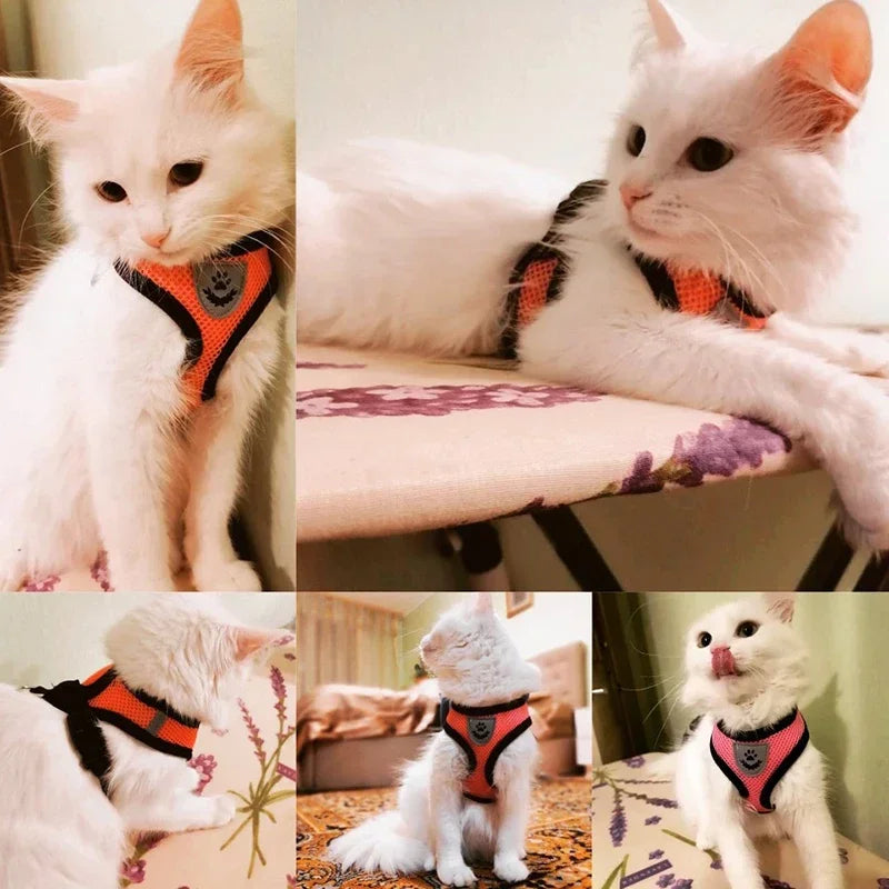 Adjustable Pet Harness Vest with Leash — Soft Reflective Harness for Cats & Small Dogs