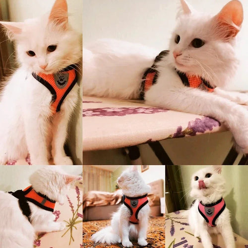 Adjustable Pet Harness Vest with Leash — Soft Reflective Harness for Cats & Small Dogs