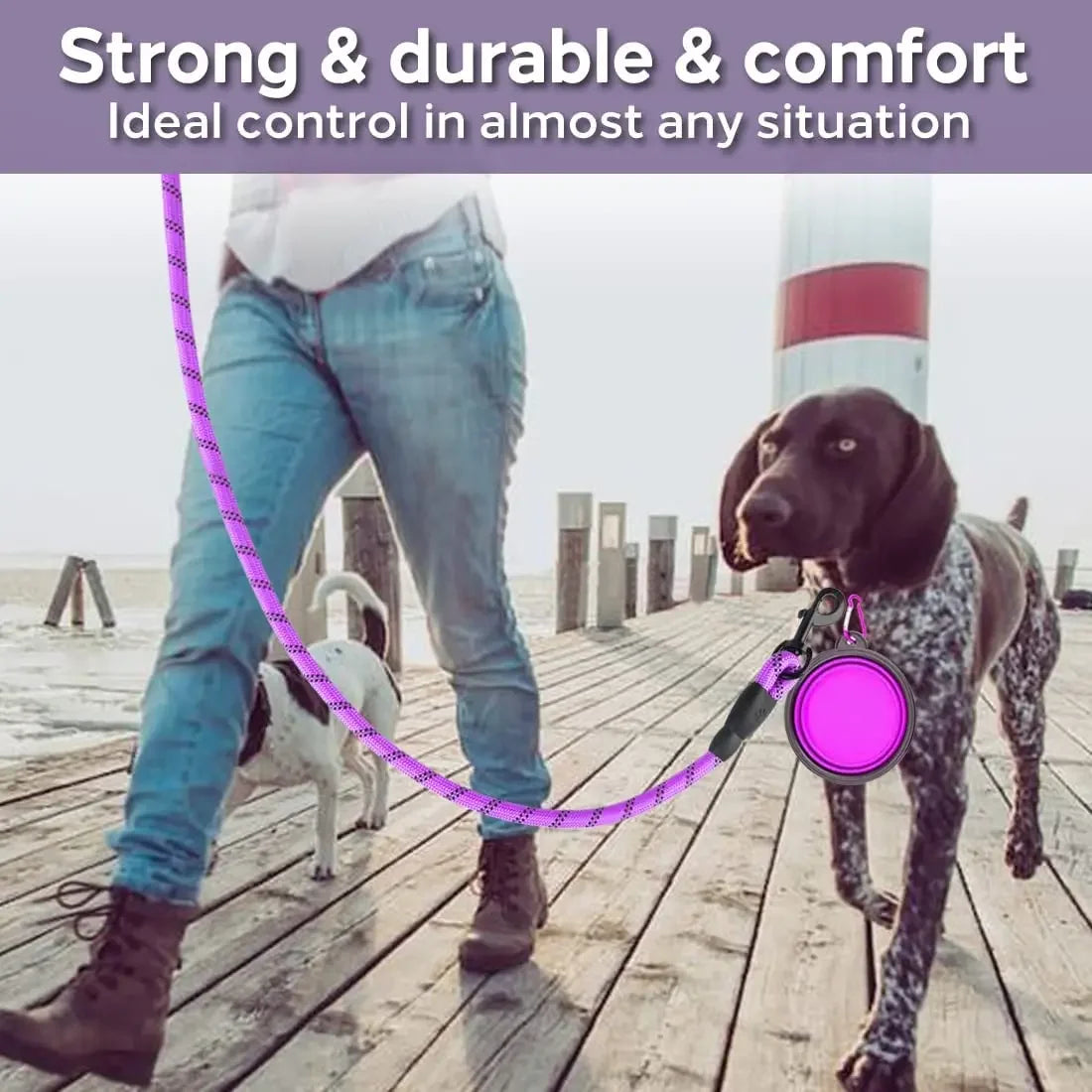 Reflective Dog Leash — Strong Nylon Lead for Small, Medium & Large Dogs