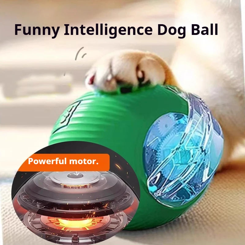 Smart Rolling Dog Ball Toy — Automatic, Rechargeable & Interactive