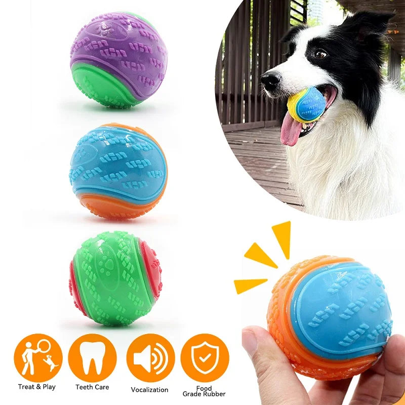 Squeaky Dog Ball Toy — Soft TPR Interactive Toy for Teeth Cleaning & Play