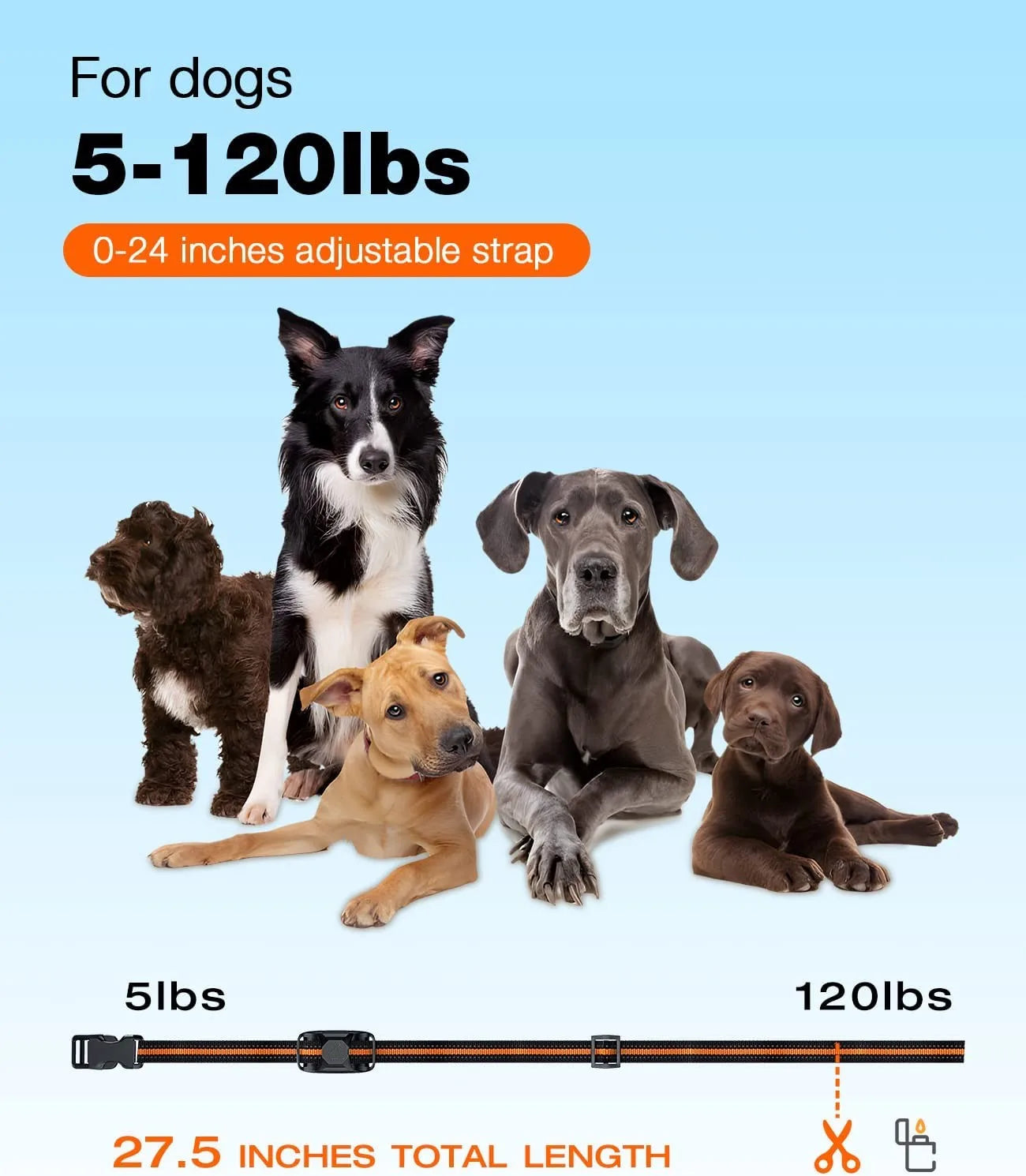 Remote Dog Training Collar — 1000M Range, Waterproof, Shock & Vibration for 2 Dogs