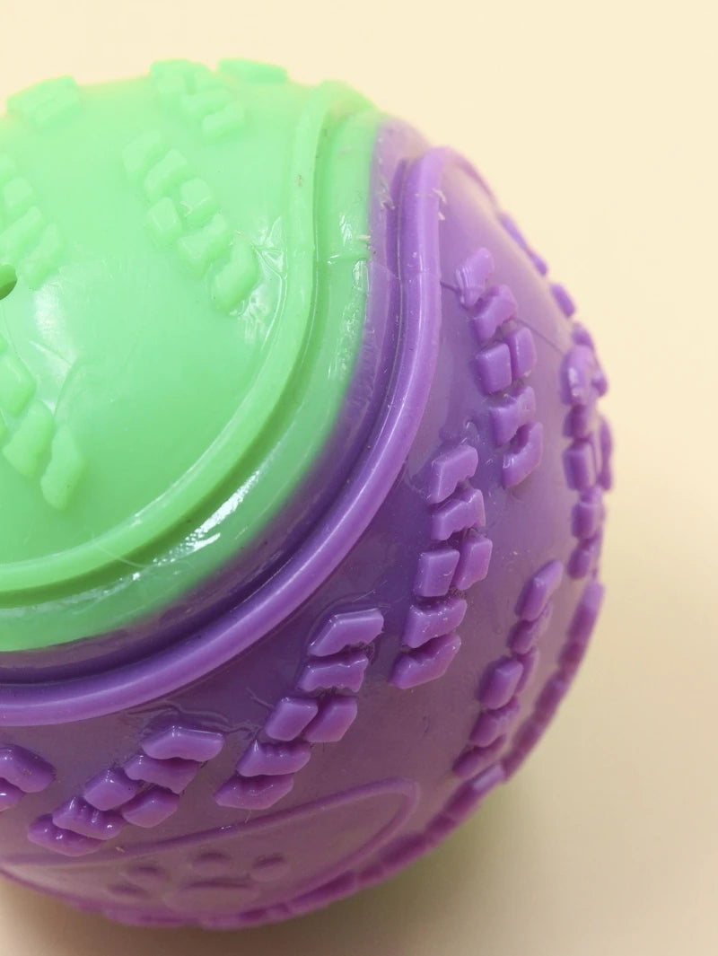 Squeaky Dog Ball Toy — Soft TPR Interactive Toy for Teeth Cleaning & Play