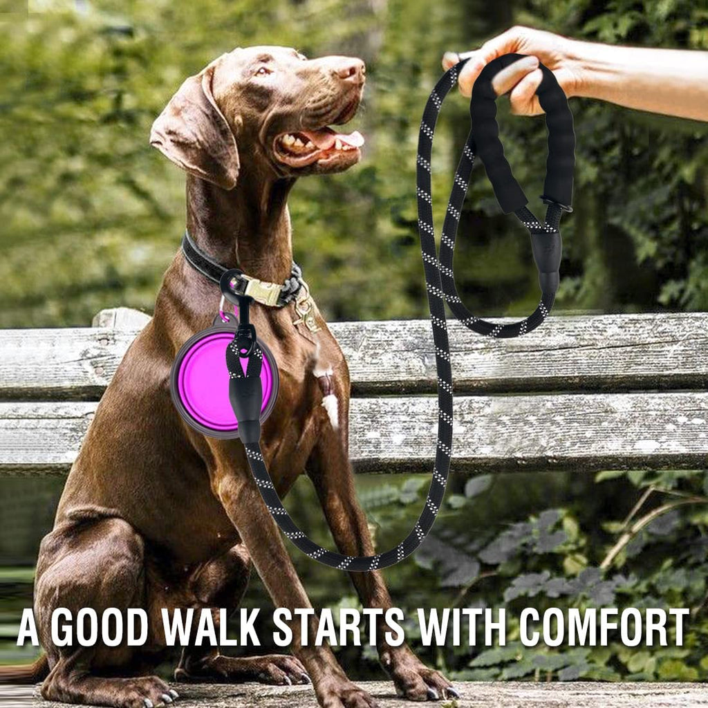 Reflective Dog Leash — Strong Nylon Lead for Small, Medium & Large Dogs