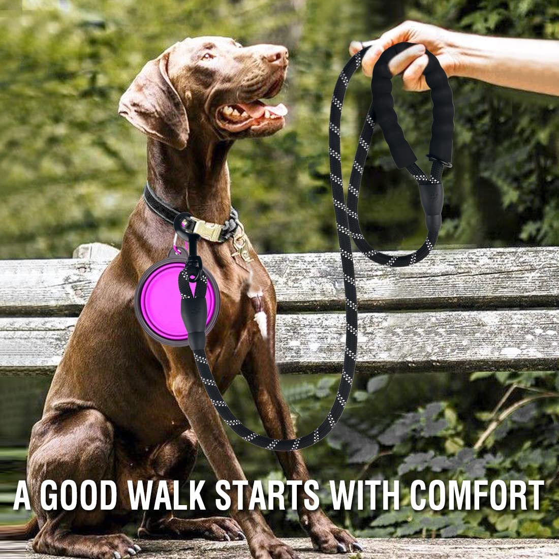 Reflective Dog Leash — Strong Nylon Lead for Small, Medium & Large Dogs