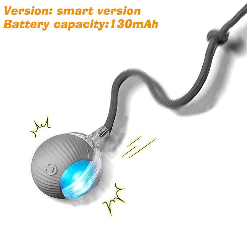 Smart Rolling Dog Ball Toy — Automatic, Rechargeable & Interactive