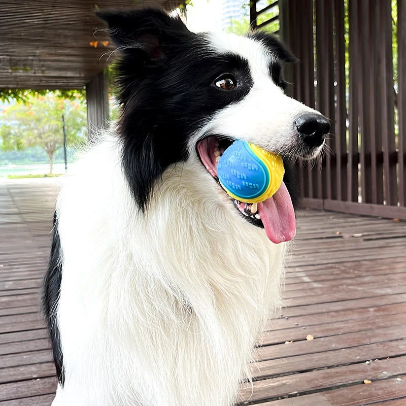 Squeaky Dog Ball Toy — Soft TPR Interactive Toy for Teeth Cleaning & Play
