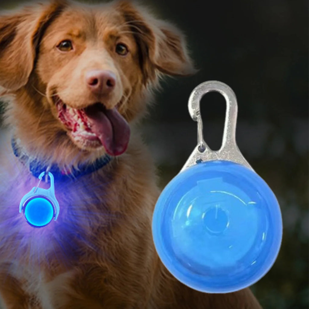 LED Pet Safety Pendant — Light-Up Collar Clip for Night Walks with Dogs & Cats