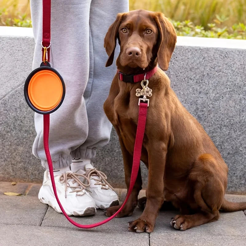 Collapsible Pet Travel Bowl — Portable Food & Water Bowl for Dogs & Cats