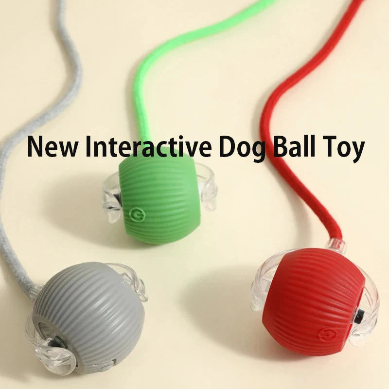 Smart Rolling Dog Ball Toy — Automatic, Rechargeable & Interactive