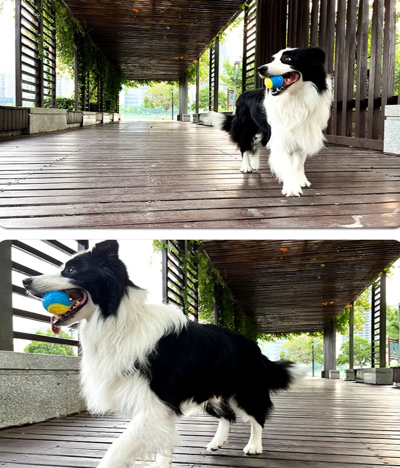 Squeaky Dog Ball Toy — Soft TPR Interactive Toy for Teeth Cleaning & Play