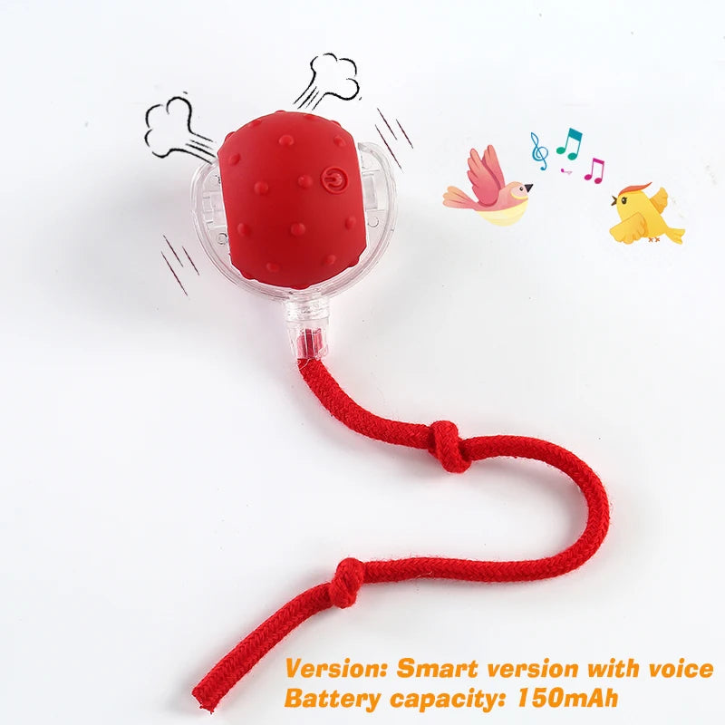 Smart Rolling Dog Ball Toy — Automatic, Rechargeable & Interactive