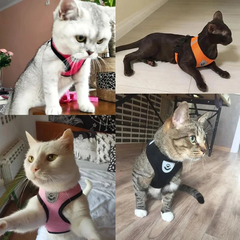 Adjustable Pet Harness Vest with Leash — Soft Reflective Harness for Cats & Small Dogs