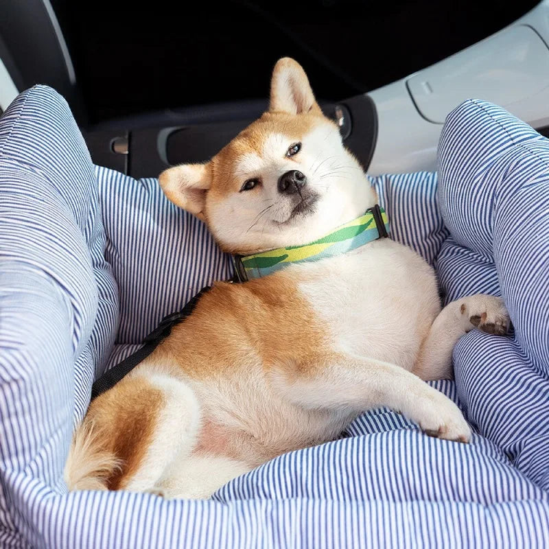 Dog Car Seat Bed — Removable, Washable Travel Seat for Small & Medium Dogs