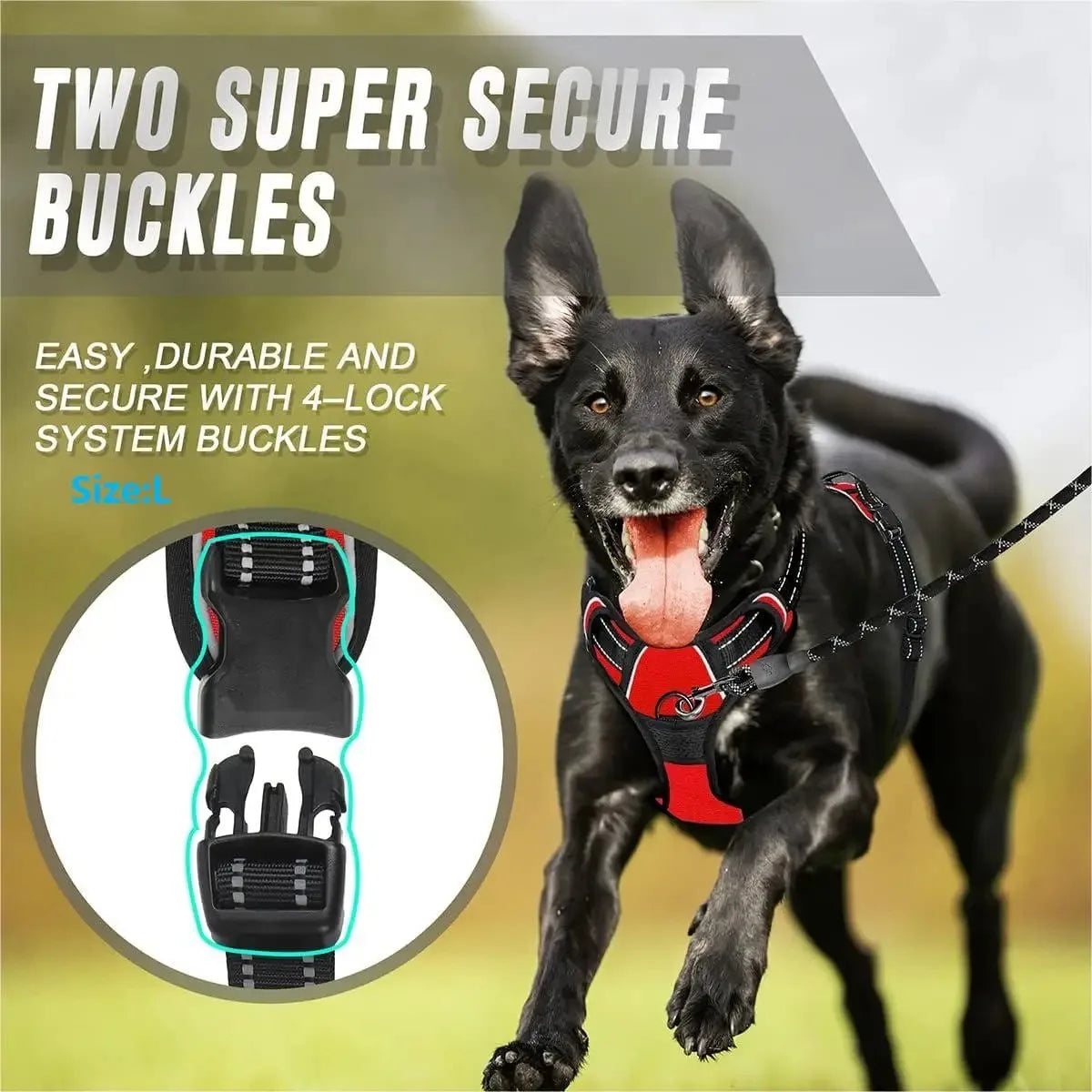 Dog Vest Harness & Leash Set — Adjustable Collar for Small & Medium Dogs