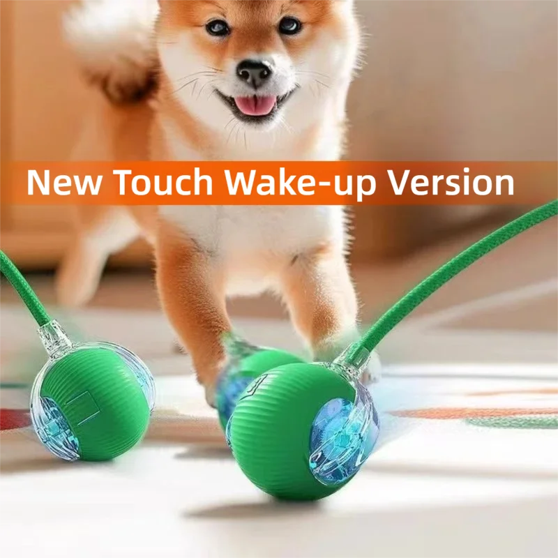 Smart Rolling Dog Ball Toy — Automatic, Rechargeable & Interactive
