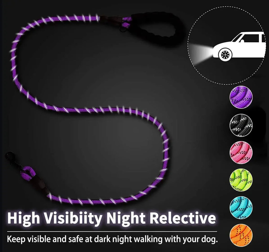 Reflective Dog Leash — Strong Nylon Lead for Small, Medium & Large Dogs