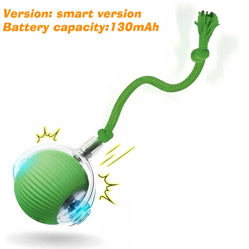Smart Rolling Dog Ball Toy — Automatic, Rechargeable & Interactive