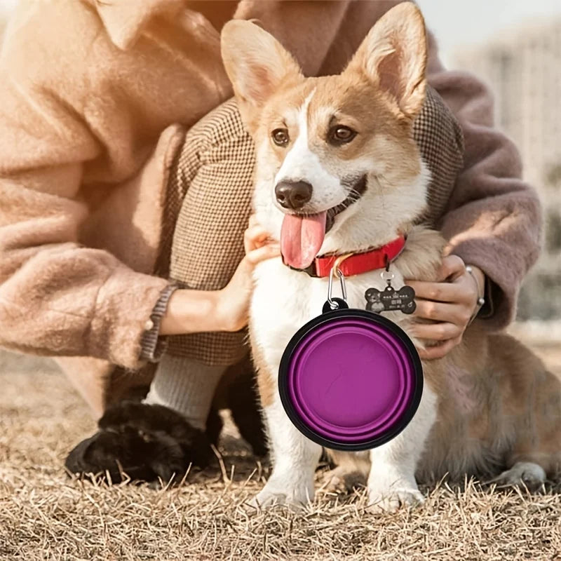 Collapsible Pet Travel Bowl — Portable Food & Water Bowl for Dogs & Cats