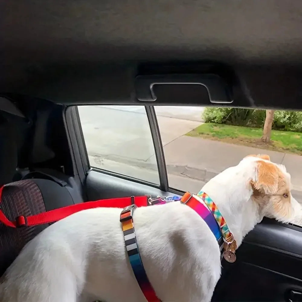 Pet Car Seat Belt — Adjustable Safety Restraint for Dogs & Cats