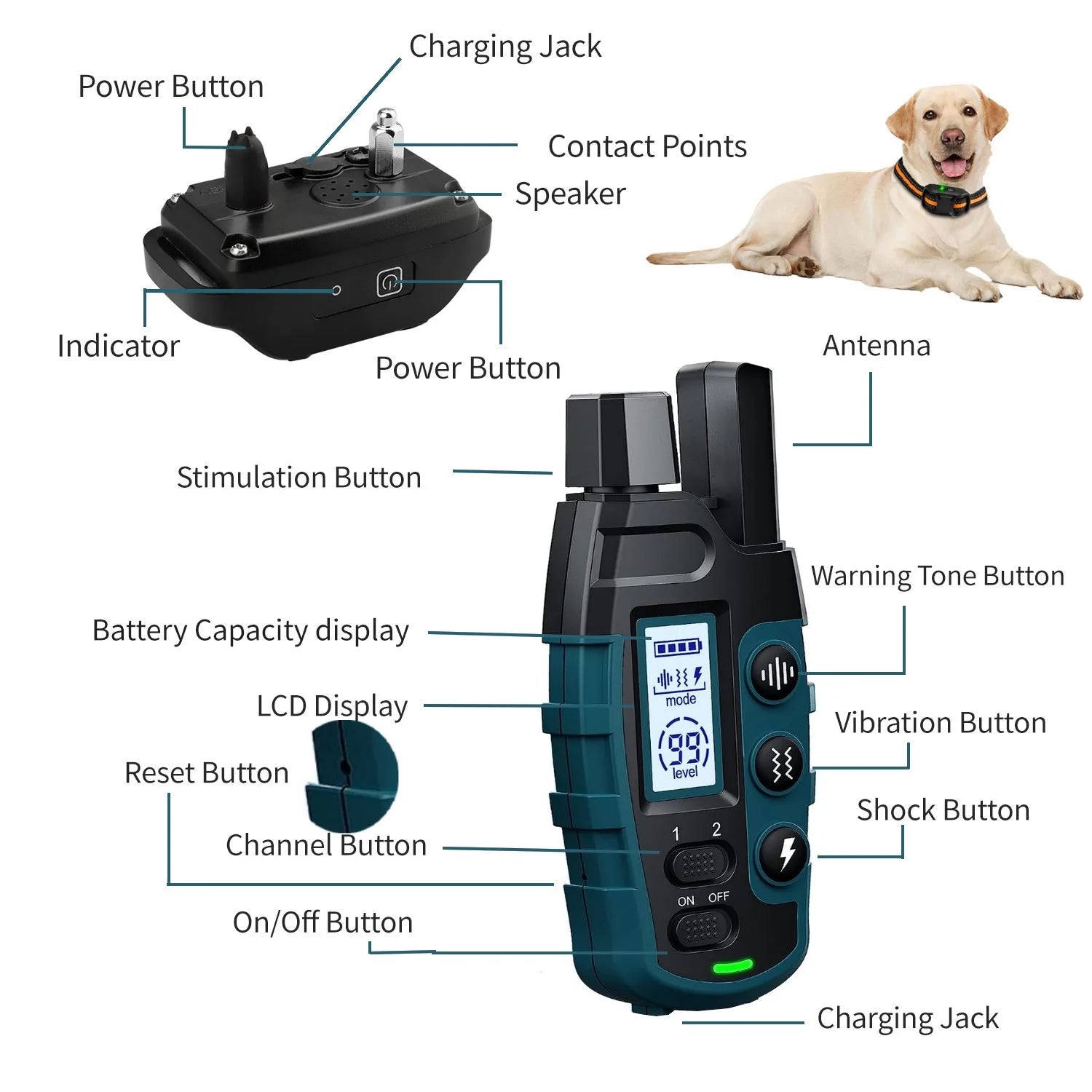 Remote Dog Training Collar — 1000M Range, Waterproof, Shock & Vibration for 2 Dogs