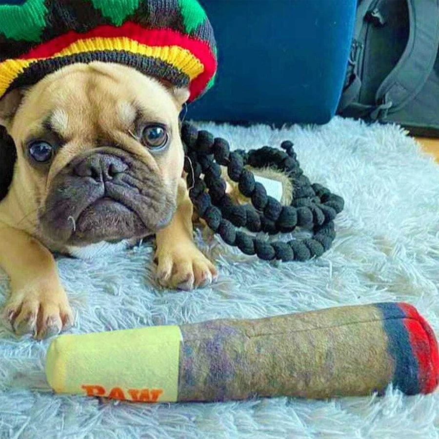 Cigar Squeaky Plush Dog Toy — Funny Interactive Chew Toy for Small & Medium Dogs