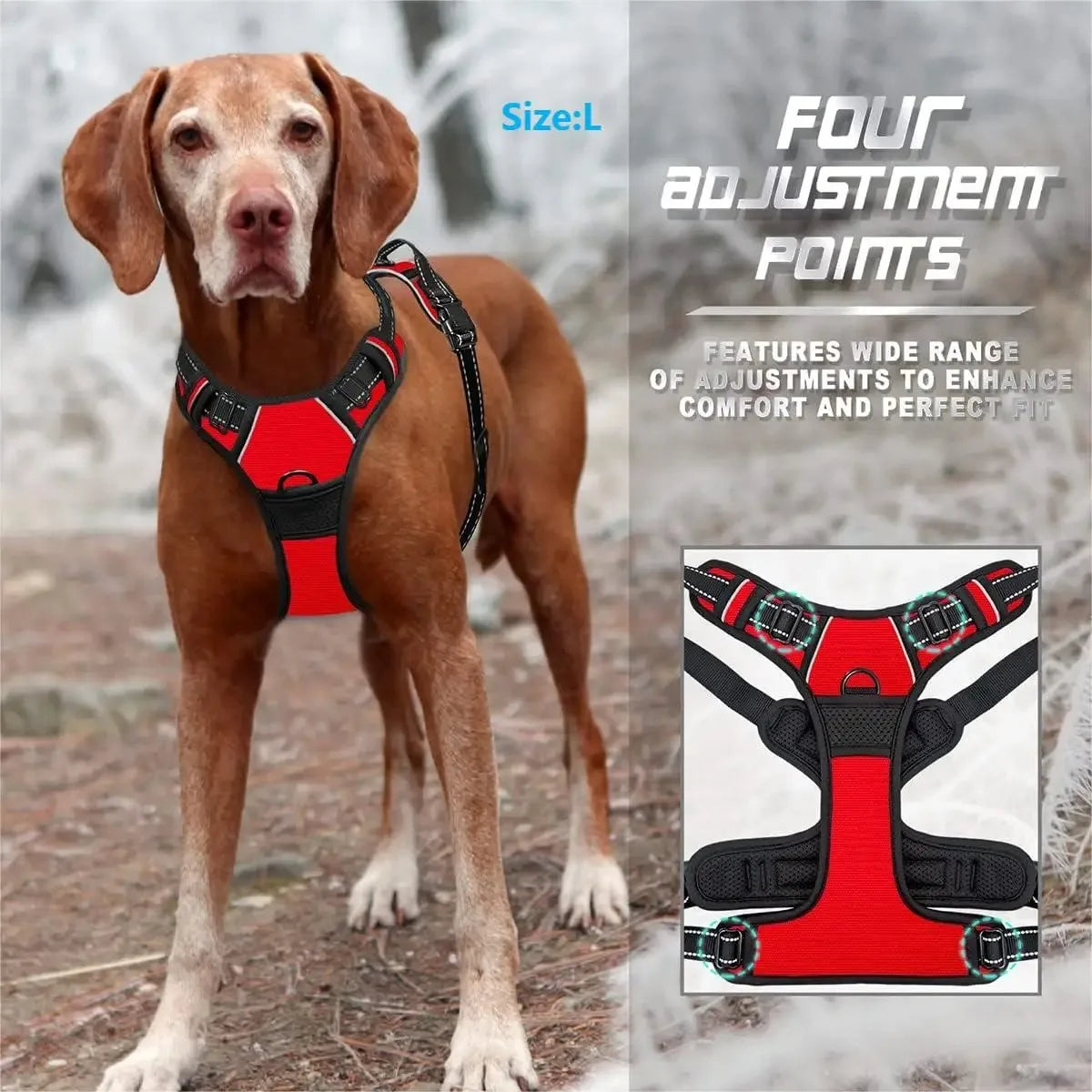 Dog Vest Harness & Leash Set — Adjustable Collar for Small & Medium Dogs