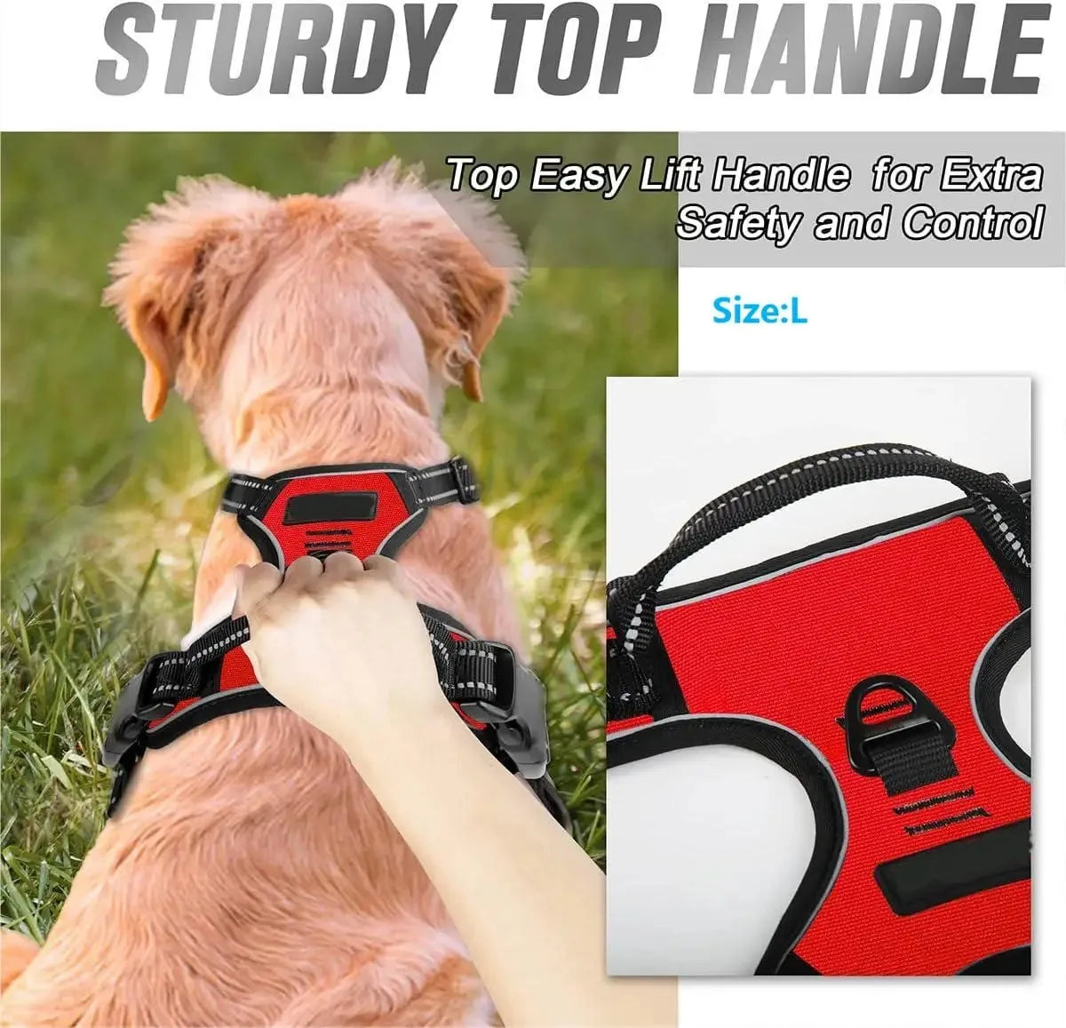 Dog Vest Harness & Leash Set — Adjustable Collar for Small & Medium Dogs