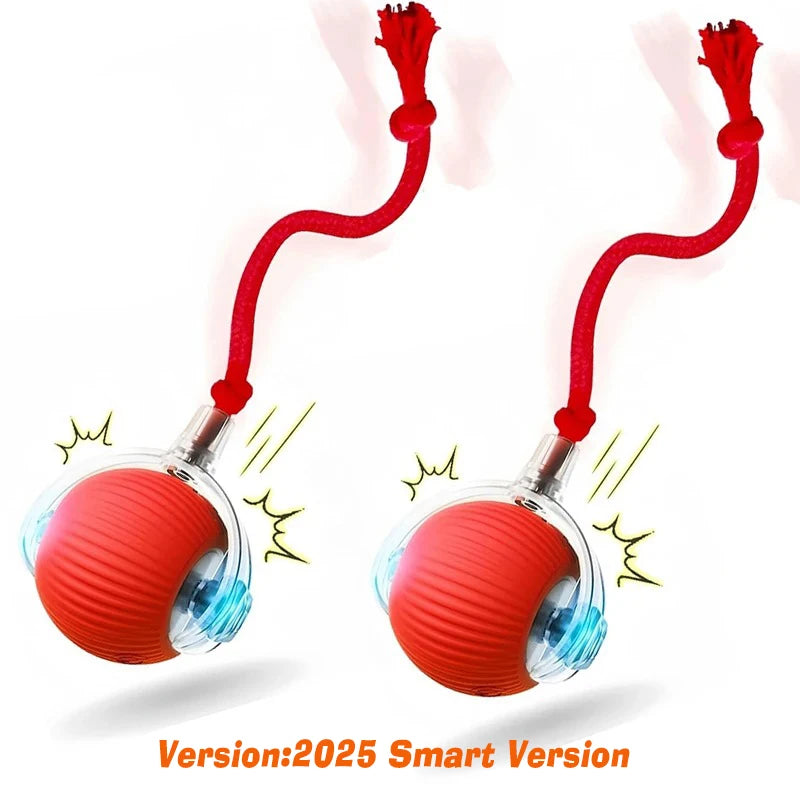 Smart Rolling Dog Ball Toy — Automatic, Rechargeable & Interactive