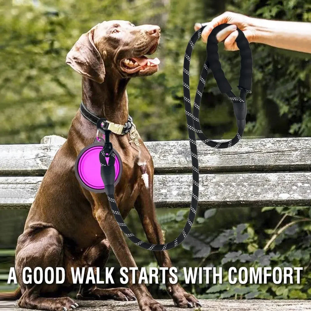 Reflective Dog Leash — Strong Nylon Lead for Small, Medium & Large Dogs