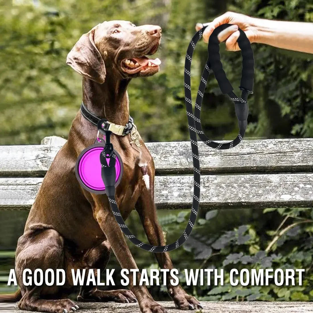 Reflective Dog Leash — Strong Nylon Lead for Small, Medium & Large Dogs